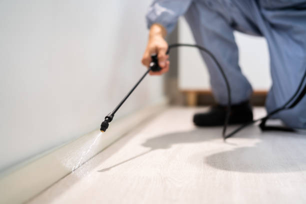 Licensed Termite Control service in West Milton, OH - Show Me Pest Control